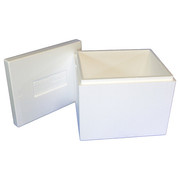 Polar-Tech Insulated Shipping Bio Foam & Carton, 1-5 Day, Color: White 243C