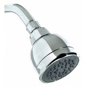 Dupont Shower, Showerhead, Chrome WFSS1050CH