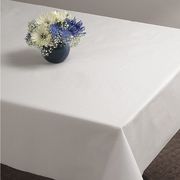 Zoro Select Table Cover, Plastic, 54inx108in, Wht, PK12 112000