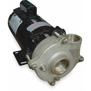 Dayton Stainless Steel 1/3 HP Centrifugal Pump 115/230V 2ZWT8