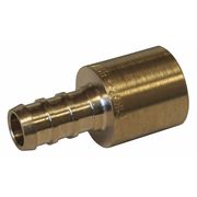 Jones Stephens Brass PEX x Male Sweat Adapter, 1/2"x1/2" C76048LF