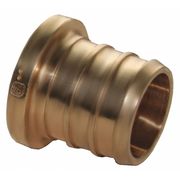 Jones Stephens PEX x Female Brass PEX Plug, No Lead, 1/2" C76065LF