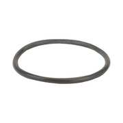 Banjo Gasket, Y Strainer, 1 1/2-2 In LS150-G