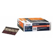 Paslode Collated Framing Nail, 3-1/4 in L, 10 ga, Brite, Flat Head, 30 Degrees, 2500 PK 650839