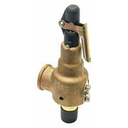 Kunkle Valve Safety Relief Valve, 3/4in.x1in., 60 psi 6010EDM01-AM-60