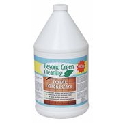 Beyond Green Cleaning Tile and Grout Cleaner, 1 gal., PK4 9901-004