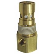 Ingersoll-Rand Check Valve 85582229