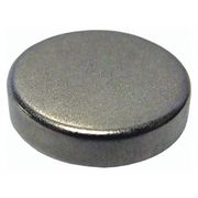 Storch Products Disc Magnet, Neodymium, 4 lb. Pull, 1/8in L B002-3256-035N