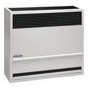 Williams Comfort Products Surface-Mount Gas Wall Heater, Propane, Direct Vent Vent Type, Gravity Convection 3003821