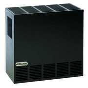 Williams Comfort Products Hearth Heater, Natural Gas, Top Vent Vent Type, Gravity Convection 2001622A