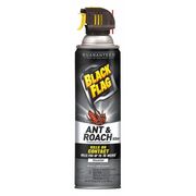 Black Flag Roach and Ant Killer, 17.5 oz., Aerosol HG-11066