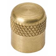 Mueller 1/4" SAE Cap, Brass, 700 psi A 16447