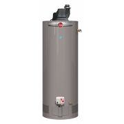 Rheem Natural Gas Residential Gas Water Heater, 48 gal., 120VAC, 42,000 BtuH PROG50-42N RH67 PV