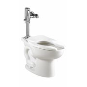 American Standard Flush Valve Toilet, 1.1 gpf, Flushometer, Floor Mount, Elongated, White 3461511.020