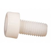 ZORO SELECT 1/4"-20 Socket Head Cap Screw, Plain Nylon, 1/2 in Length, 20 PK 3425200050