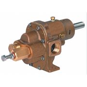 Dayton Rotary Gear Pump Head, 1/2 In., 3/4 HP 4KHF4