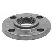 Anvil Cast Iron Threaded Flange, Faced and Drilled Class 125 0308003201