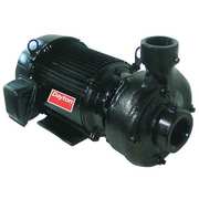 Dayton Cast Iron 7-1/2 HP Centrifugal Pump 208-230/460V 12A075