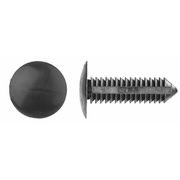 Zoro Select Push-In Rivet, Dome Head, 0.281 in Dia., 1-11/64 in L, Nylon Body, 25 PK 9132PK