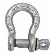 Crosby Anchor Shackle, Screw Pin, 1-1/4" Pin Dia. G-209A