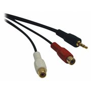 Tripp Lite Audio Cable, 3.5mm, Y Split, 2 RCA, M/F, 6" P315-06N