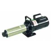 Dayton Multi-Stage Booster Pump, 1 hp, 120/240V AC, 1 Phase, 3/4 in NPT Inlet Size, 12 Stage 45MW72