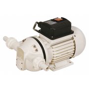 Liquidynamics Self-Priming Pump, 1/10 HP, 1 Phase, 115VAC 33101