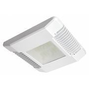 Cree LED Canopy Light, 5700K, 2 in. H, 140 Watts CPY250-B-DM-F-E-UL-WH-57K