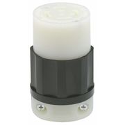 Leviton LckCon, Strt;30 A;Blk; White, Nyl, L16-30R 2733