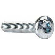 TAMPER-PRUF SCREWS #10-32 x 1 in Torx Pan Machine Screw, Zinc Plated Steel, 100 PK 480960