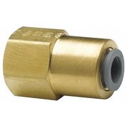 Parker 1/4" Flare Low Lead Brass Female Flare Connector L66PLNF-4-4