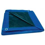 Zoro Select 19 ft x 19 ft 6 in Standard Duty 5.1 Mil Tarp, Blue, Polyethylene 5WTK6