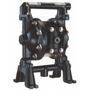 Aro Double Diaphragm Pump, Aluminum, Air Operated, PTFE, 12 GPM PD05R-AAS-STT-B