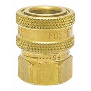 Foster Straight-Thru Brass Socket, 1/8\u0022 FPT 12FS
