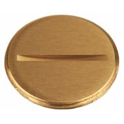 Raco Electrical Box Cover, 0 Gangs, Round, Brass, Flush Cover 6226