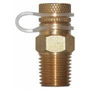 Winters Test Plug, 1/4" NPT, 0 to 1000 psi STP001