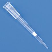 Globe Scientific Filtered Pipet Tip, 0.1 to 20uL, PK960 150810