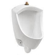 American Standard Urinal, 14-7/16" D, White, 22-5/8" H 6002001.020