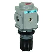 Wilkerson Air Pressure Regulator, 1/4" Pipe Size R08-02-F000B