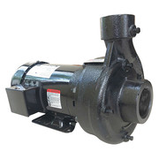 Dayton Centrifugal Pump, 3 Ph, 208 to 240/480VAC 55JJ36