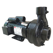 Dayton Centrifugal Pump, 3 HP, 1 Ph, 230VAC 55JJ64