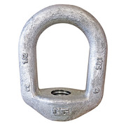 Crosby Oval Eye Nut, 3/8" Thread Size, 1/2 in Thread Lg, Steel, Hot Dipped Galvanized 1090474