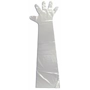 Agri Pro Enterprises Shoulder Length Gloves, PK100 318502