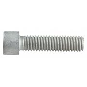 METRIC BLUE M12-1.75 Socket Head Cap Screw, Plain 65 mm Length UST176285