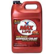 Valvoline Antifreeze Coolant, 1 gal., Concentrated 719009