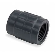 Zoro Select PVC Female Adapter, FNPT x Socket, 2 in Pipe Size 835-020