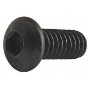 80/20 1/4"-20 Socket Head Cap Screw, Zinc Plated Steel, 5/8 in Length 3063