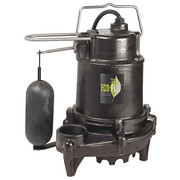 Eco-Flo Cast Iron Sump Pump 1/2 HP EFSA50