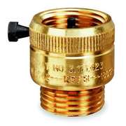 Watts Vacuum Breaker, 3/4 In., GHT, Brass, 125 psi 8B