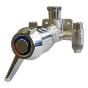 Leonard Valve Shower Valve, 1/2 in Outlet, 1/2 in Inlet PAM-II-E